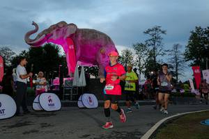 BIB: 
                            <button type="button" onclick="openModal(26529569)" class="btn btn-primary btn-sm float-right btn-popup" data-toggle="modal" data-target=".modal-high-quality">
                        <i class="fas fa-shopping-cart"></i> Add to Cart
                    </button>
                                            <button type="button" onclick="isThisMe(26529569, true)" class="btn btn-success btn-sm float-right btn-popup btn-isme hidden" data-toggle="tooltip" data-placement="bottom" title="นี่คือรูปของคุณใช่ไหม คลิกที่นี่เพื่อเอาเข้าอัลบั้ม">
                        <i class="fas fa-plus"></i> Add to album
                    </button>
                    <button type="button" onclick="isThisMe(26529569, false)" class="btn btn-warning btn-sm float-right btn-popup btn-isnotme hidden">
                        <i class="fas fa-ban"></i> Remove from album
                    </button>